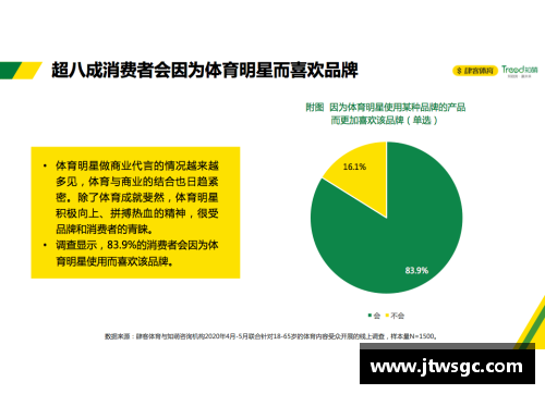 体育明星广告策略深度分析与市场影响评估