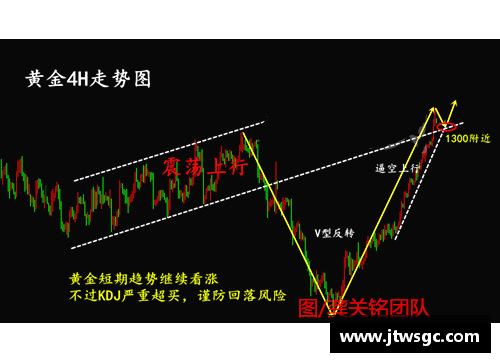 海南体育明星肖像代言价格解析及市场趋势分析
