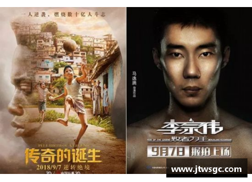 瑞安籍体育明星风采：探索他们的传奇成就与影响力